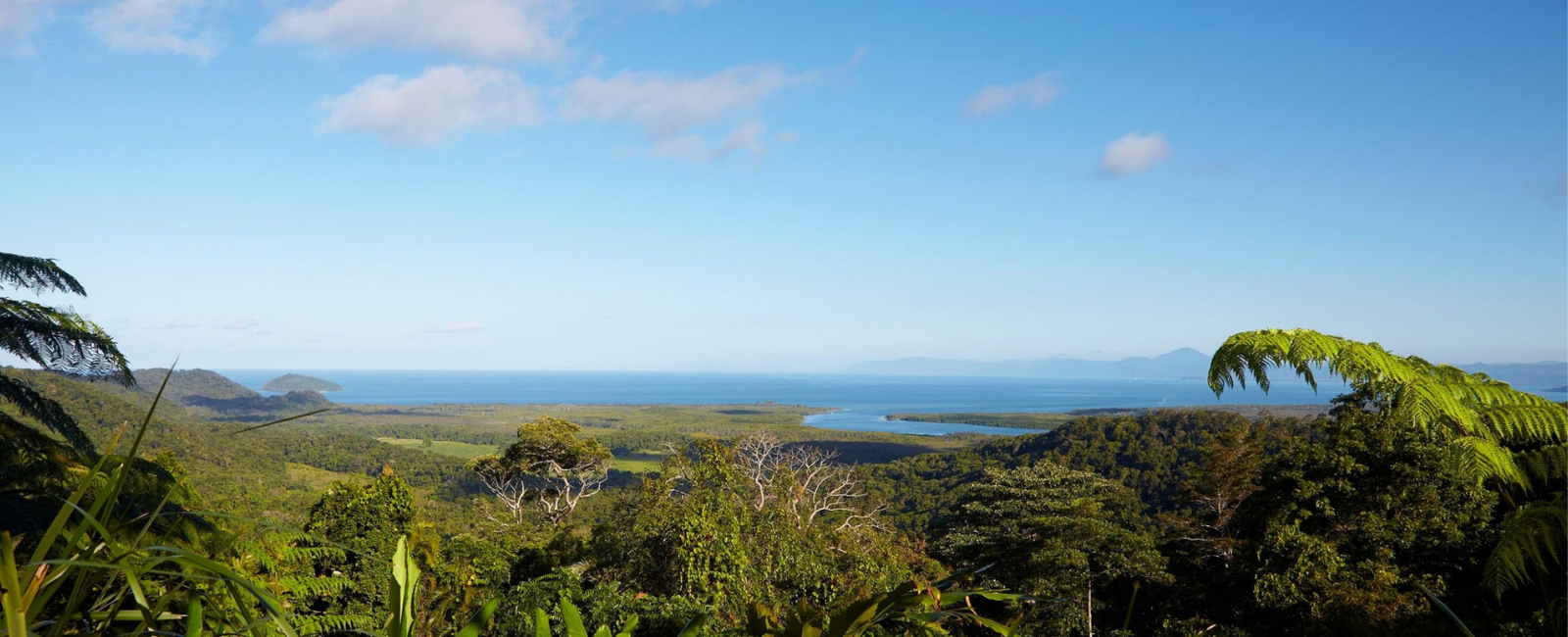 Outlook over trees and ocean at Silky Oaks Lodge