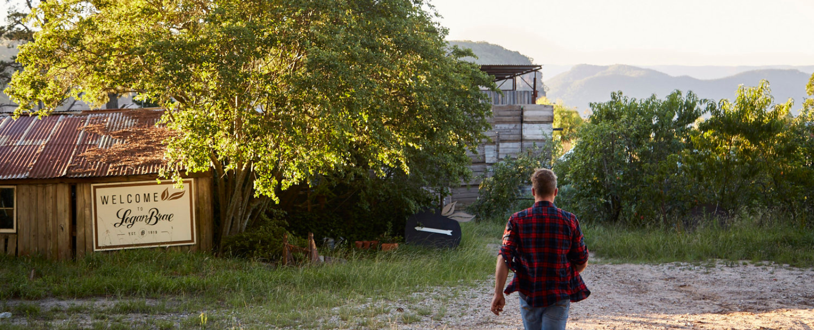 Blackheath, man walking to Logan Brae Orchards