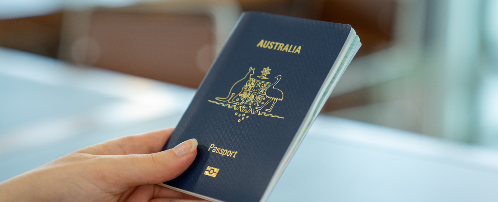 Person holding passport