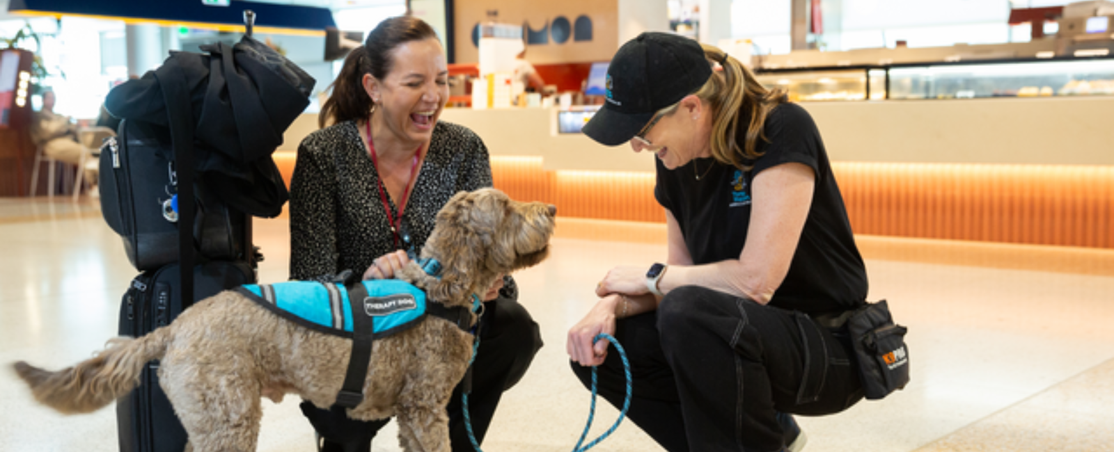 Therapy dog with handlers at Brisbane Airport