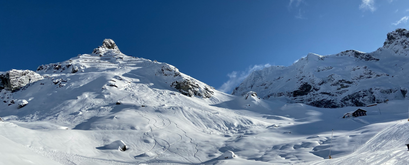 Monterosa Skiing