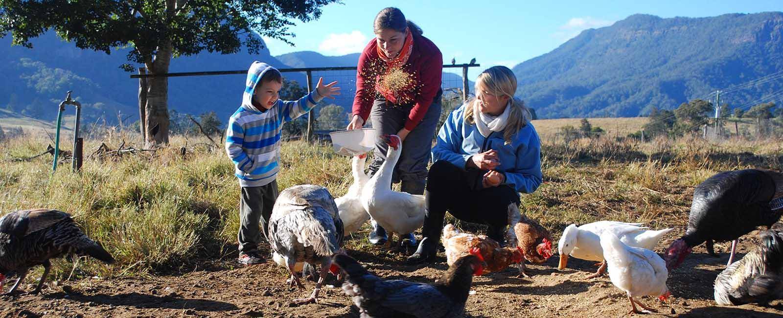 Cedar Glen farm stay at Beaudesert is a working family farm