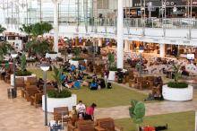 Brisbane Airport International Terminal