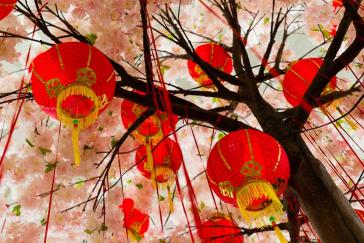 Lunar New Year celebrations in the International Terminal
